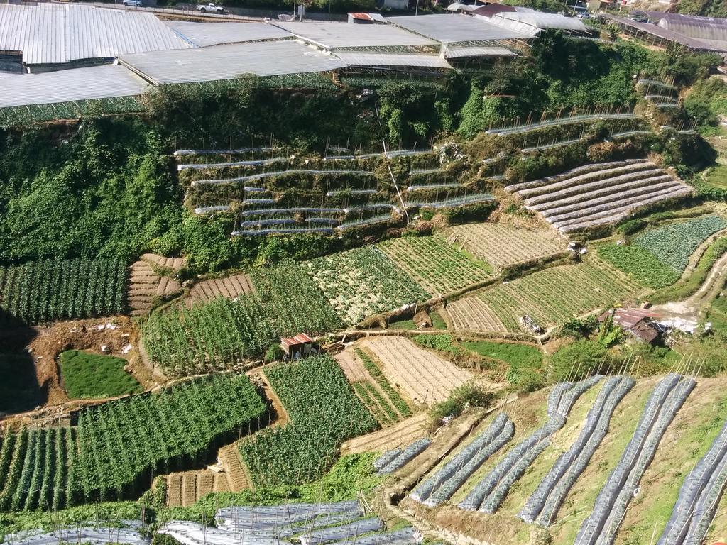 Mary Apt @ Equatorial Hill Resort Cameron Highlands Eksteriør bilde